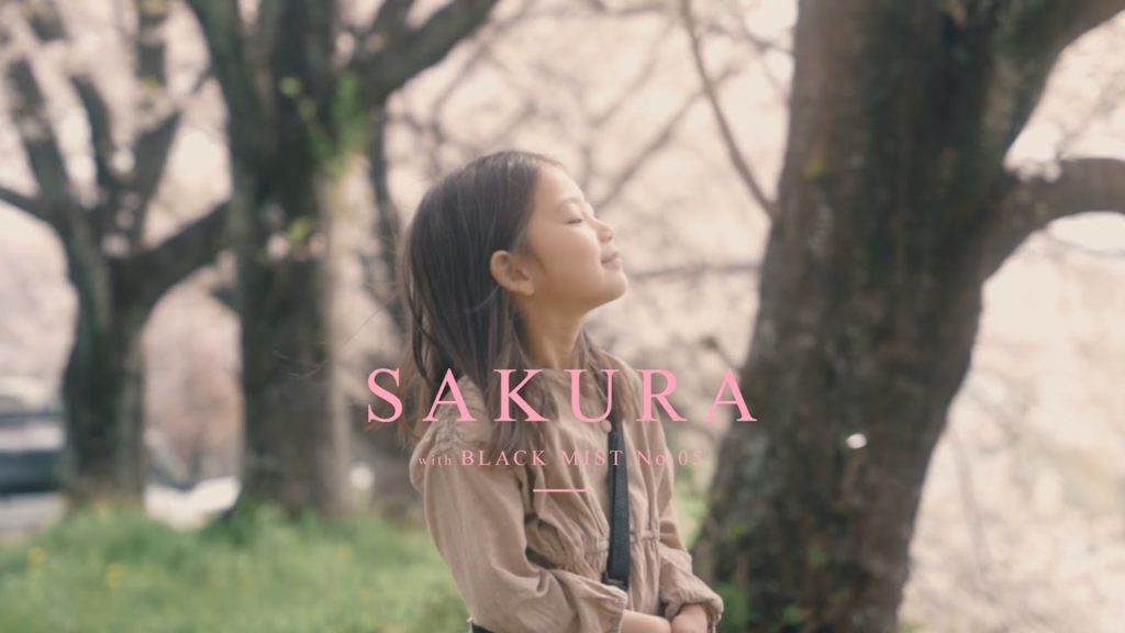 【Cinematic Vlog】これだけで映画風！？シネマティックに桜を撮ってみた 【ブラックミストNo.05】