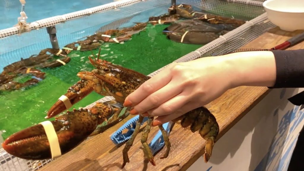 Japanese Seafood in Osaka - Tsurikichi -