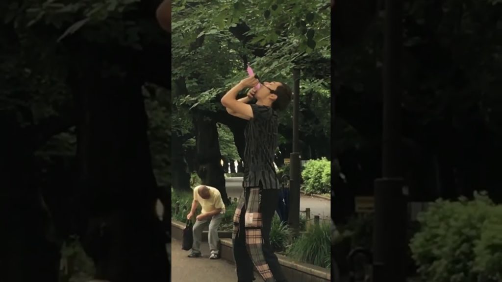 Touring Japan Travelling in Japan Museum and Japanese Park Walkthrough Touring Japan Travelling in Japan Museum and Japanese Park Walkthrough