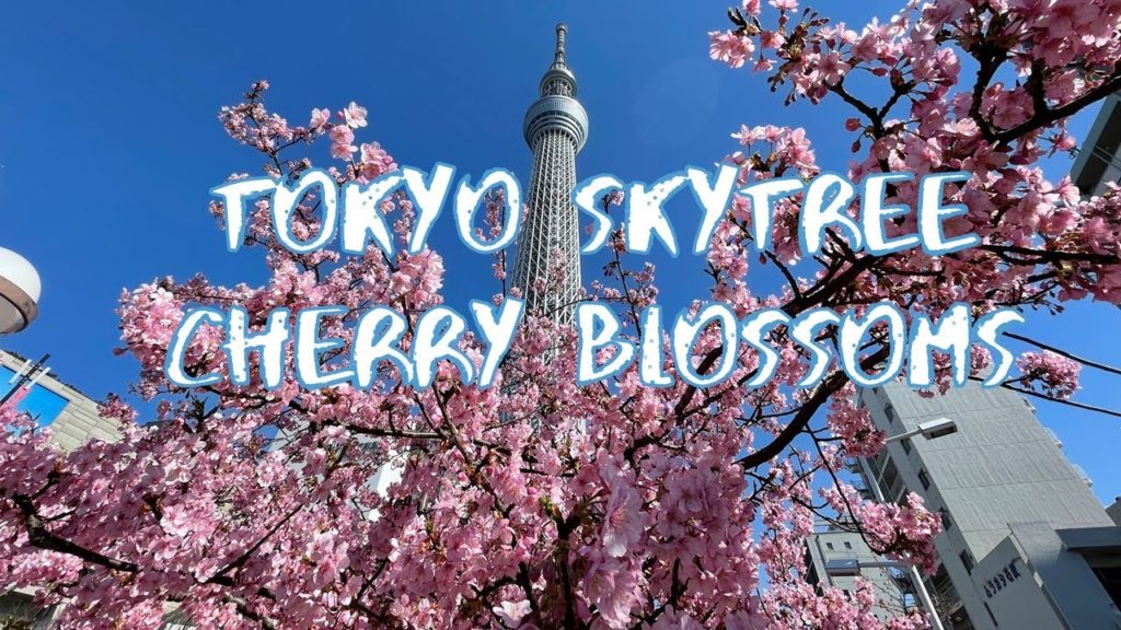 [Vlog] TOKYO SKYTREE with Cherry Blossoms | Tokyo Sightseeing, Japan