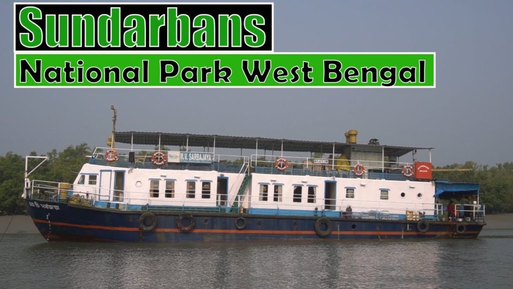 Sundarbans National Park, West Bengal | All about journey on ship