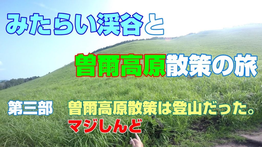 甲斐犬いち、みたらい渓谷と曽爾高原、車中泊の旅③ 高原散策と思いきや、登山だった! 甲斐犬いち、みたらい渓谷と曽爾高原、車中泊の旅③ 高原散策と思いきや、登山だった!