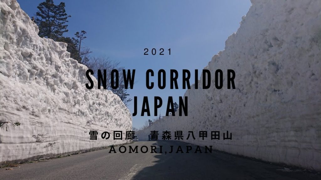 青森県八甲田「雪の回廊」Snow corridor in Aomori,Japan 青森県八甲田「雪の回廊」Snow corridor in Aomori,Japan