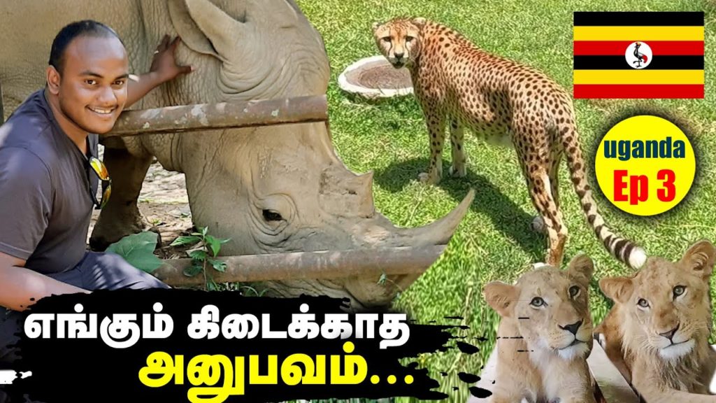 Feeding Dangerous Animals | Ep – 3 | Tamil Trekker Feeding Dangerous Animals | Ep - 3 | Tamil Trekker