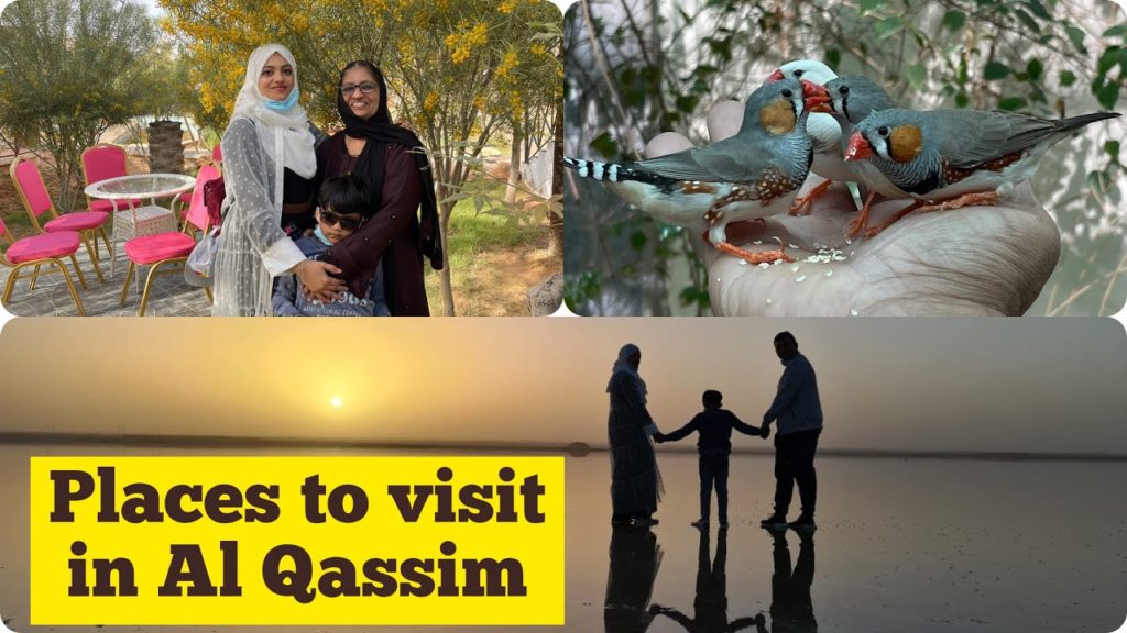 PLACES TO VISIT IN QASSIM PART-1 || Garden Talents Bird Park || Aushazia Salt Lake PLACES TO VISIT IN QASSIM PART-1 || Garden Talents Bird Park || Aushazia Salt Lake