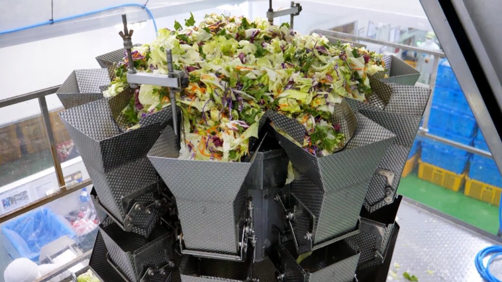 샐러드업계 1위 팜에이트, 단일규모 국내최대 샐러드 공장의 생생한 현장 / Korea's largest clean salad factory / korean street food