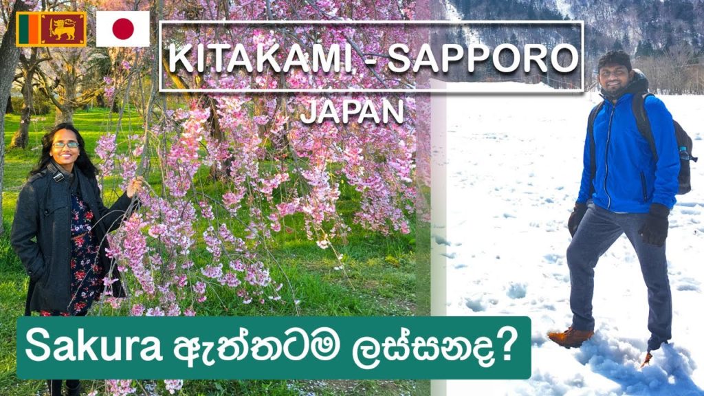 Is this Sakura or Snowing? Kitakami & Sapporo – Japan ๐ธ | Sinhala Vlog | Sri Lankan Couple (ENG SUB) Is this Sakura or Snowing? Kitakami & Sapporo - Japan ๐ธ | Sinhala Vlog | Sri Lankan Couple (ENG SUB)