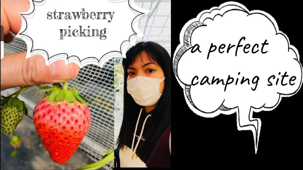 Strawberry Picking and Driving around Chiba #strawberryfarm #strawberrypicking