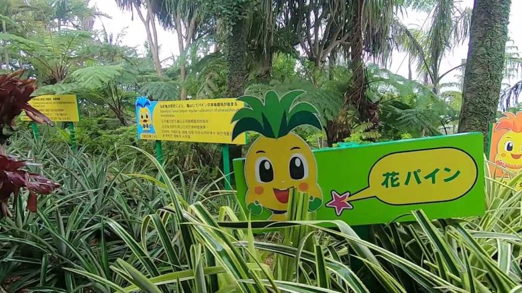 Japan, Okinawa – Nago Pineapple Park