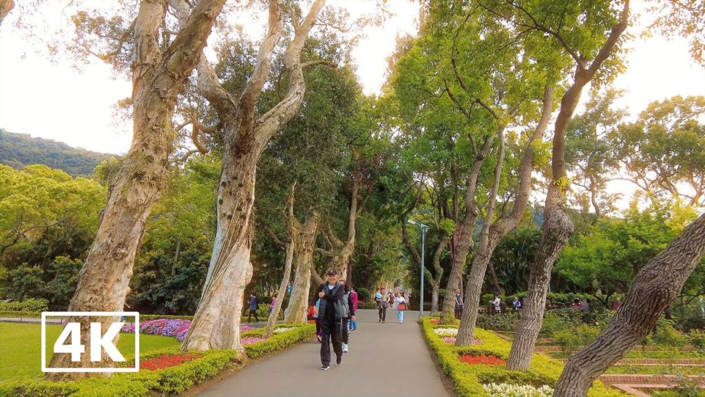 4K Vivid Tour Ambiance: 2021 Shilin Residence Tulip Festival tour 60P 4K Vivid Tour Ambiance: 2021 Shilin Residence Tulip Festival tour 60P