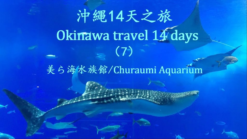 沖縄旅行14天（7）美ら海水族館／Okinawa travel 14 days (7) Churaumi Aquarium