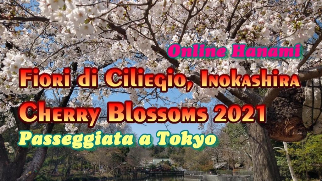 *Online Hanami* Fiori di Ciliegio a Tokyo Parco Inokashira, Giappone 2021