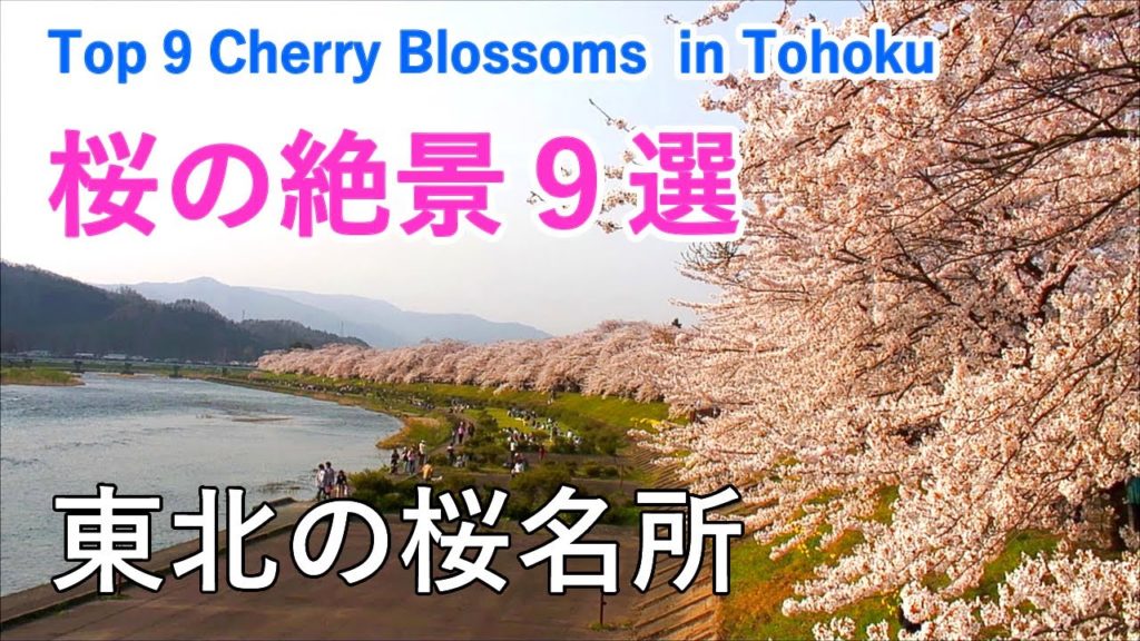 北日本の桜名所9選!(角館・北上展勝地・高松の池など) / Top 9 Beautiful cherry blossom viewing spots in Tohoku Japan【日本の桜名所】 北日本の桜名所9選!(角館・北上展勝地・高松の池など) / Top 9 Beautiful cherry blossom viewing spots in Tohoku Japan【日本の桜名所】