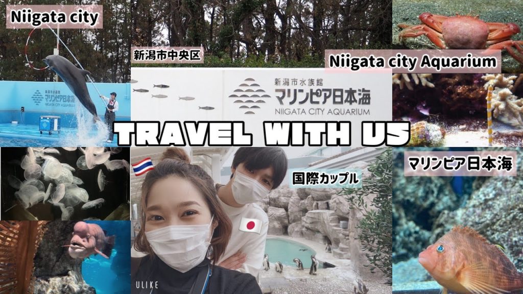 「マリンピア日本海」1日中、新潟市水族館へ遊びに行こう