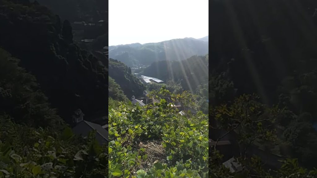 竜門ダム⑤ 大自然 ダムの迫力 コンバインダム【Inaka Japan 田舎に30秒だけ行ってみる!全ての人に日本の“田舎”という癒やしをお届け!自然風景】 竜門ダム⑤ 大自然 ダムの迫力 コンバインダム【Inaka Japan 田舎に30秒だけ行ってみる!全ての人に日本の“田舎”という癒やしをお届け!自然風景】