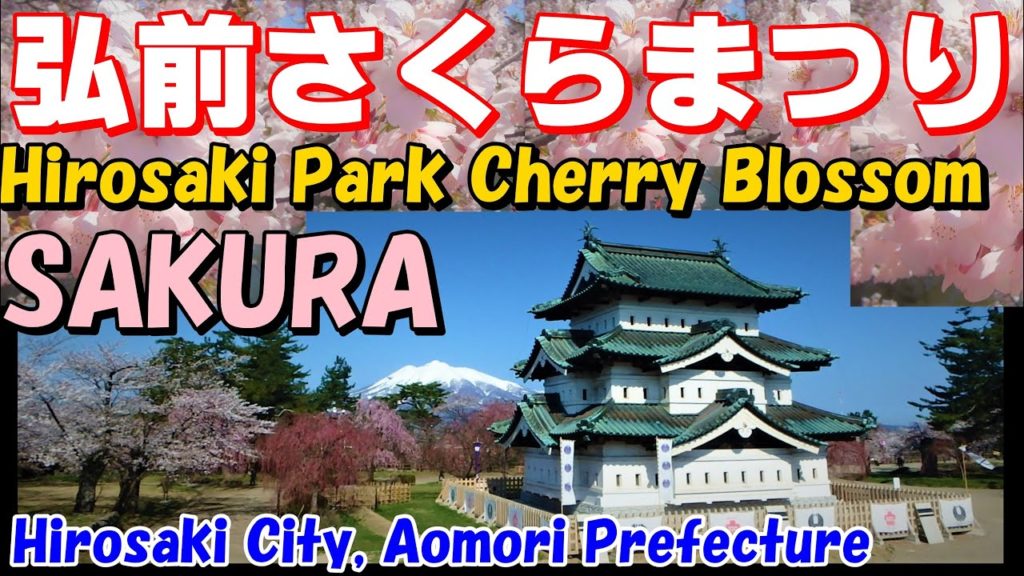 【 弘前さくらまつり 】🌸 Japanese Cherry Blossoms 🌸 Sakura in Hirosaki Park 🌸 みちのく三大桜名所 🌸 青森観光 日本の桜 🌸青森県弘前市 【 弘前さくらまつり 】🌸 Japanese Cherry Blossoms 🌸 Sakura in Hirosaki Park 🌸 みちのく三大桜名所 🌸 青森観光 日本の桜 🌸青森県弘前市
