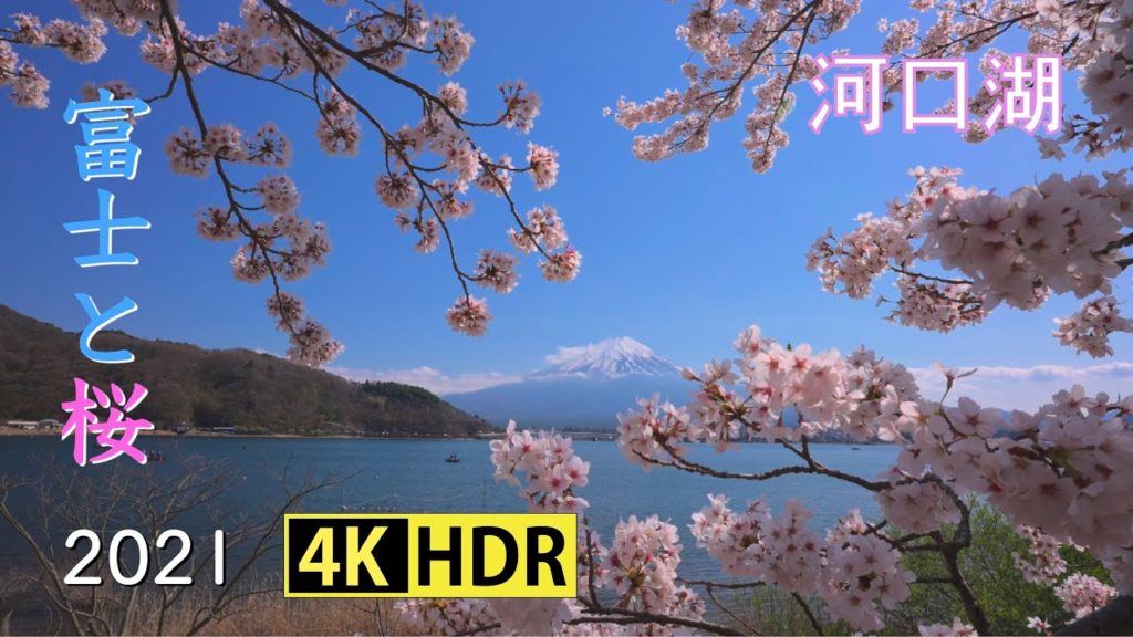 2021 河口湖の富士と桜(4K-HDR) Mt. Fuji & Cherry Blossoms At Lake Kawaguchi(UHD-HDR)