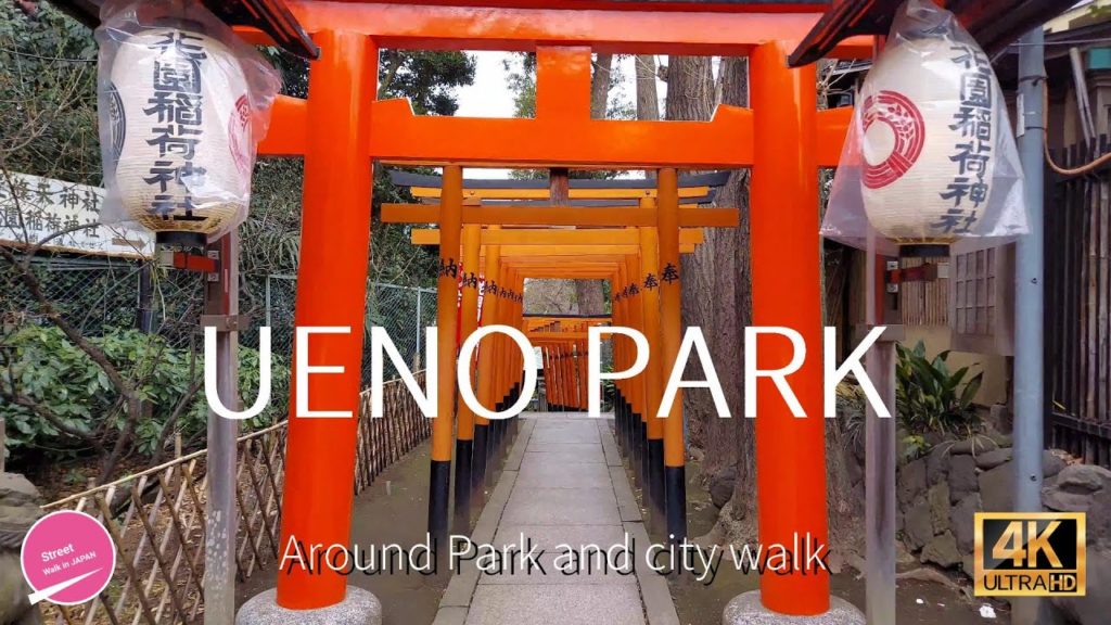 【4K】Walk around Ueno Park and the shopping street in Tokyo  - It's called Ameyoko,Japan Travel Tour