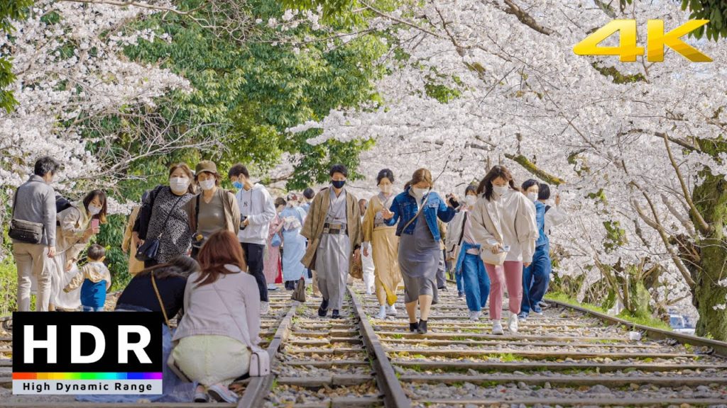 4K HDR10+ Japan Cherry Blossoms 2021 - Kyoto, Keage Incline Railway