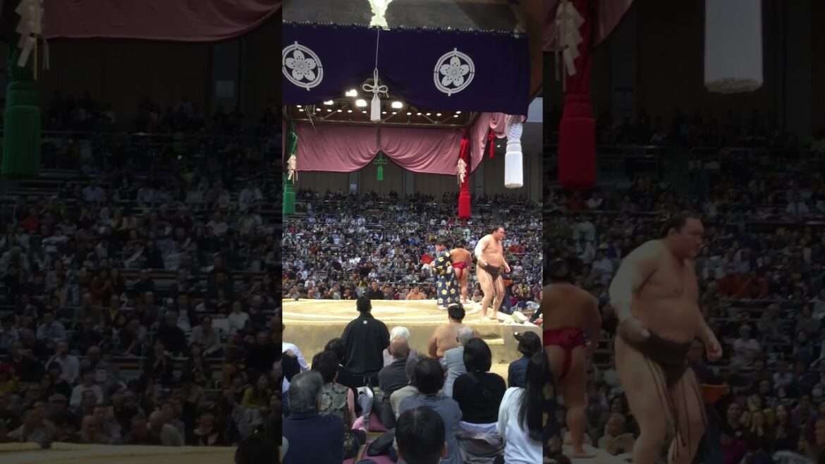 Fukuoka Day Tours recommends a night out at the Sumo for those with tours in November.