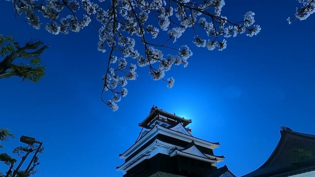 I shot the cherry blossoms in Kiyosu Castle with GoPro HERO 9 Night Laps and FUJIFILM X-T20.清洲城 桜 城 I shot the cherry blossoms in Kiyosu Castle with GoPro HERO 9 Night Laps and FUJIFILM X-T20.清洲城 桜 城