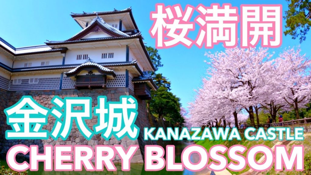 [2021.4.2 ] Cherry Blossom Walk in Kanazawa Castle, Ishikawa Japan 金沢城 桜満開 おうちでお花見🌸 GoPro Hero9