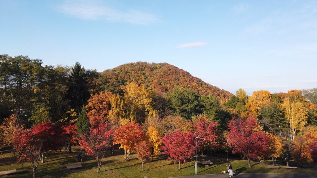 Walking Sapporo, Hokkaido  —  Asahiyama Memorial Park   旭山記念公園　秋　（短縮版）