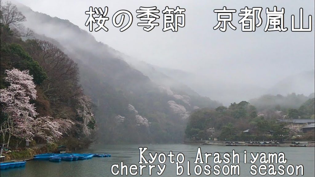 2021年3月21日(日)桜の季節の京都嵐山🌸 Kyoto Arashiyama in the cherry blossom season