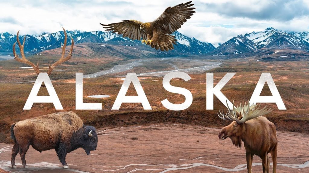 Alaska - Cinematic Travel Video | Sony A7iii + Mavic Air + Insta 360!