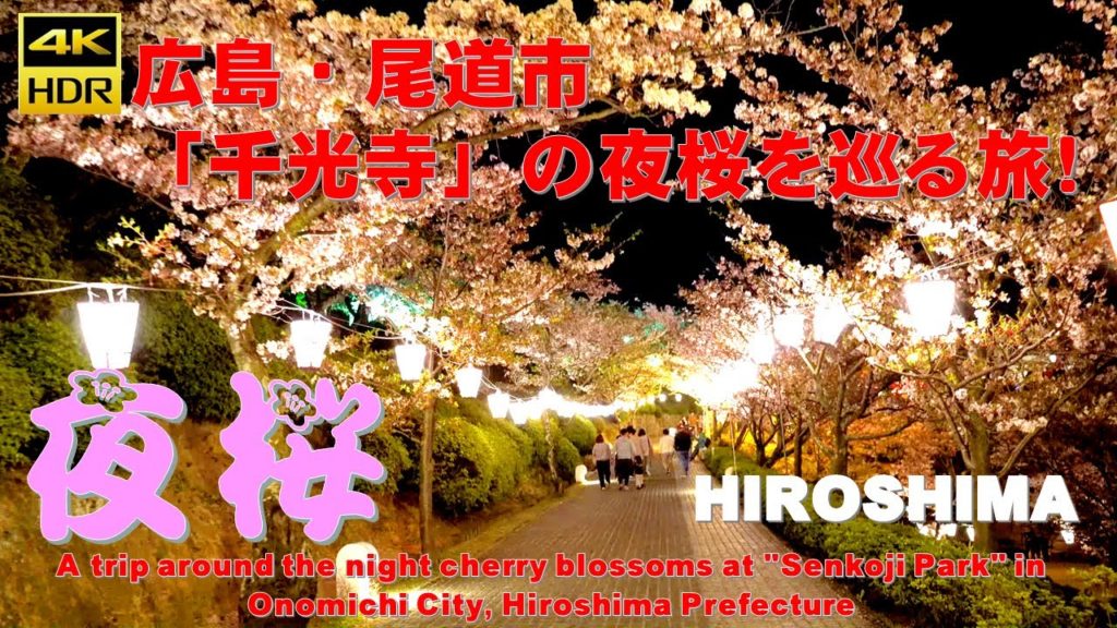 （４K）広島県・尾道市「千光寺公園」の夜桜を巡る旅！