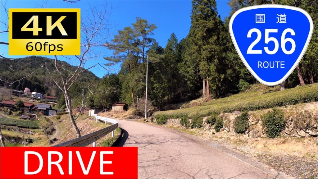 【車載動画/Onboard Cam】茶畑を走る狭隘国道：国道256号 桜峠/Driving in Japan Onboard Camera, Gifu [4K]