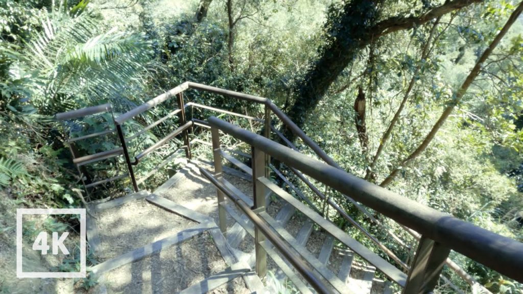 I breathe like cow with bird whispering Taiwan walk asmr built environment field recording 城市散步本地遊天氣 I breathe like cow with bird whispering Taiwan walk asmr built environment field recording 城市散步本地遊天氣