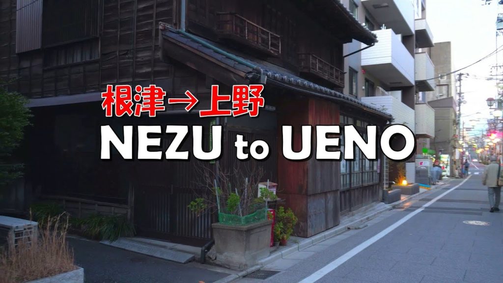 【4K】Tokyo Walk 2021 Nezu to Ueno | 根津神社→上野 | 東京下町 夕暮れ時 | old downtown area 【4K】Tokyo Walk 2021 Nezu to Ueno | 根津神社→上野 | 東京下町 夕暮れ時 | old downtown area