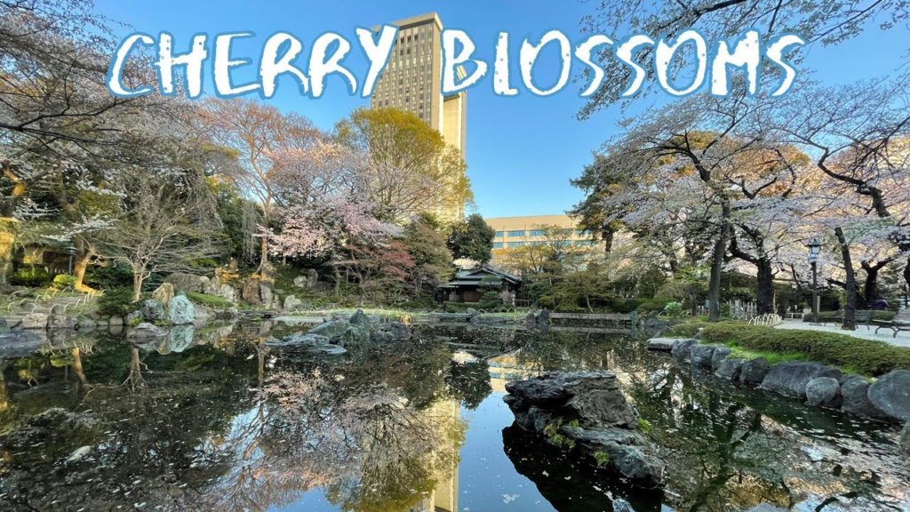 [Vlog] Yasukuni Jinja Shrine with Cherry Blossoms | Tokyo Sightseeing, Japan