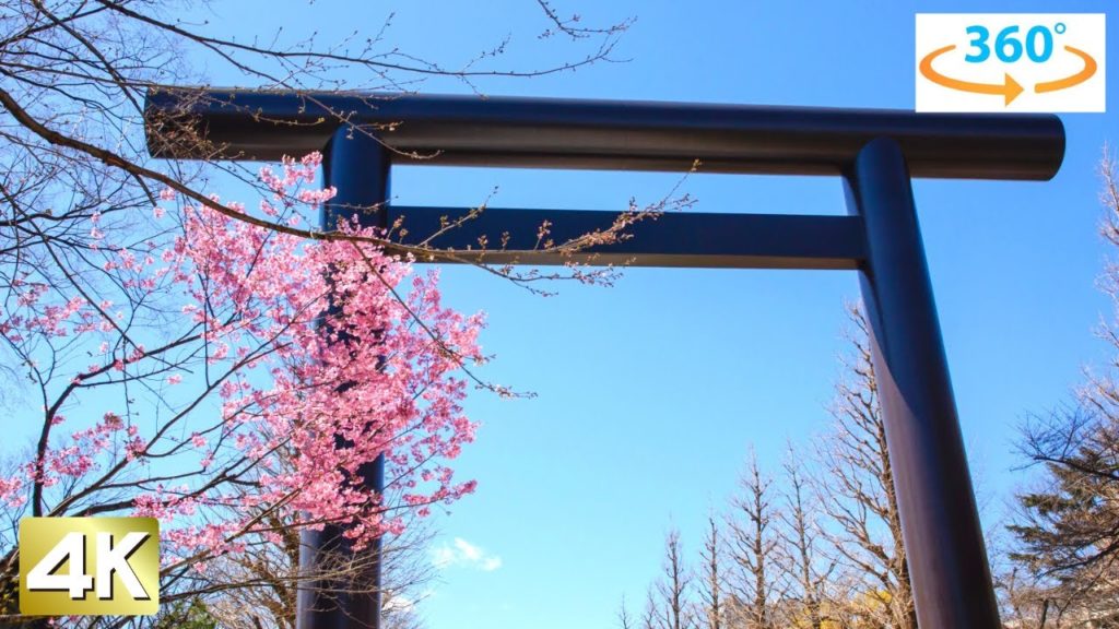 【Japan 360° VR】"Yasukuni-Jinja Shrine" Tokyo Japan Cherry Blossom Walking Tour in spring