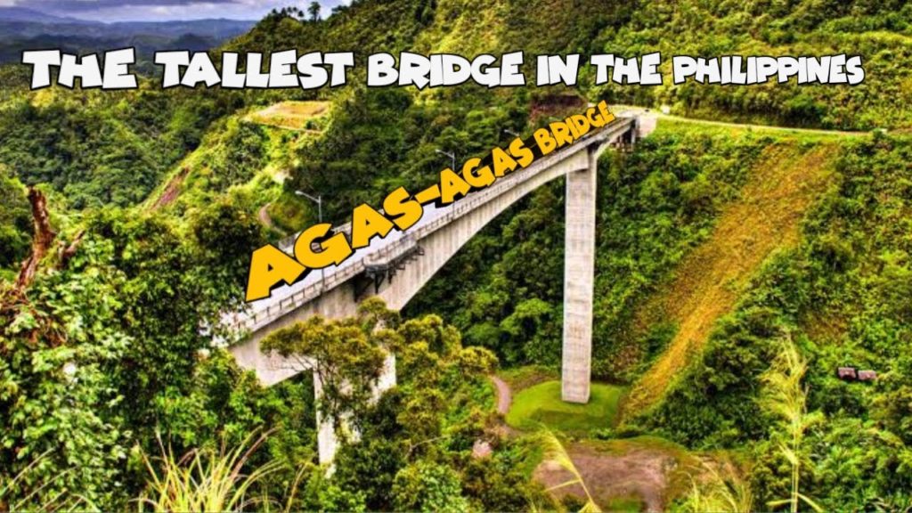 THE TALLEST BRIDGE IN PHILIPPINES #Shorts THE TALLEST BRIDGE IN PHILIPPINES #Shorts