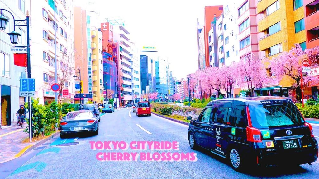 Spring in Japan // TOKYO CITYRIDE Cherry Blossoms season in Shibuya Spring in Japan // TOKYO CITYRIDE Cherry Blossoms season in Shibuya