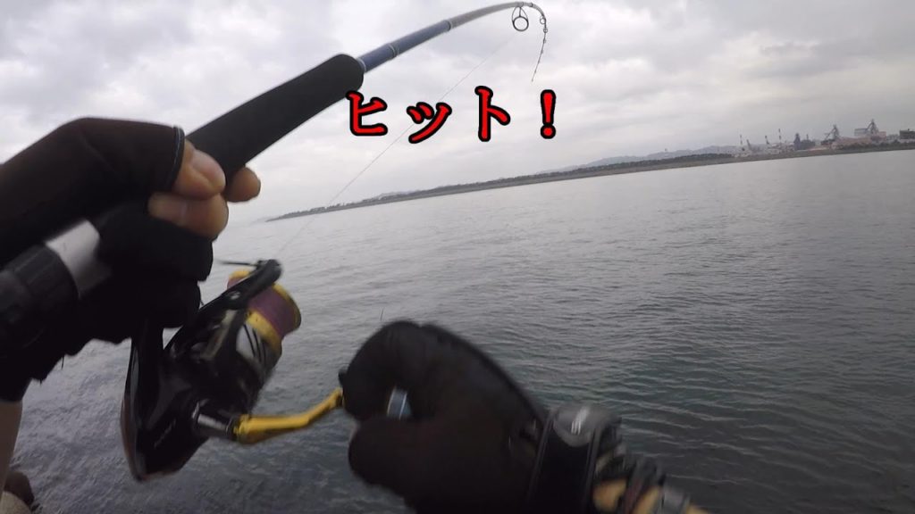 グロー Alo Japan グロー Alo Japan