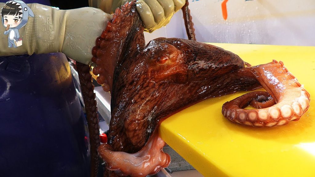 KOREAN STREET FOOD OCTOPUS DEVIL FISH KOREA SEAFOOD MARKET 포항 송도활어회센터 문어 100421