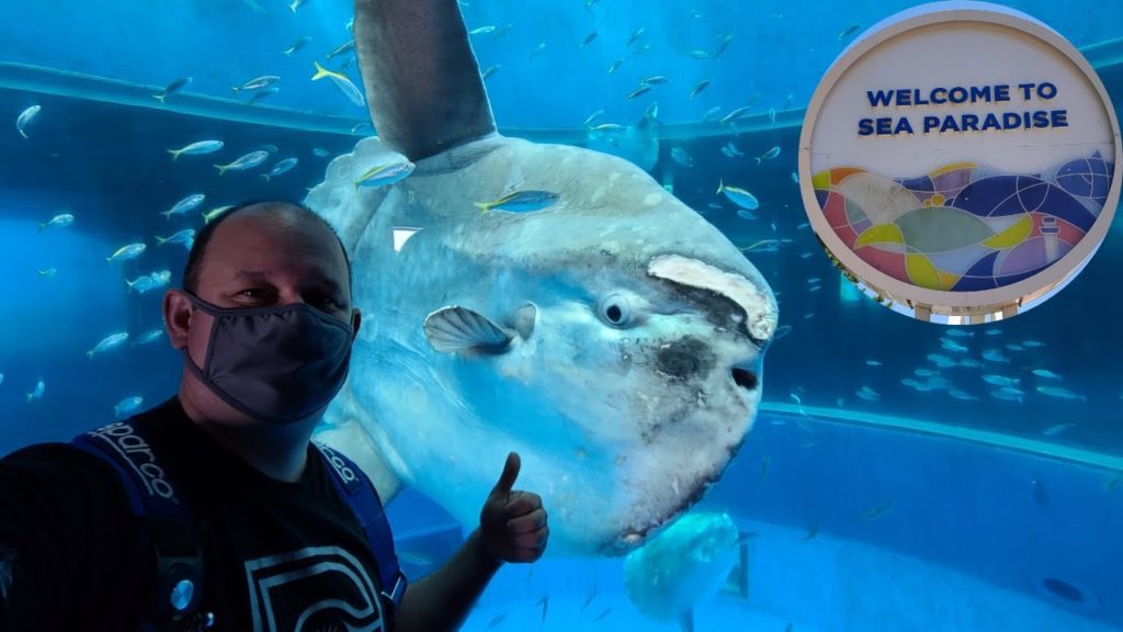 YOKOHAMA HAKKEIJIMA SEA PARADISE | THIS PLACE WAS MIND BLOWING AWESOME