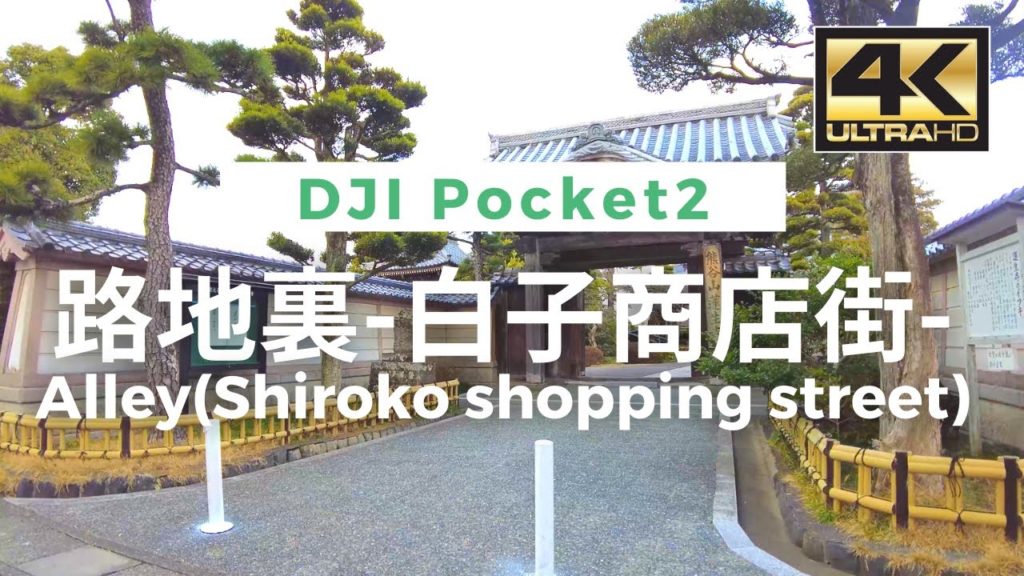 【4K】Alley(Shiroko shopping street) – 路地裏(白子商店街) Walking Video From Japan / DJI Pocket 2 【4K】Alley(Shiroko shopping street) - 路地裏(白子商店街) Walking Video From Japan / DJI Pocket 2