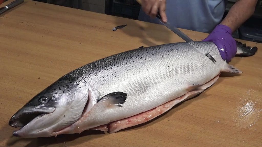 How To Fillet a Whole Salmon for Sashimi and Sushi