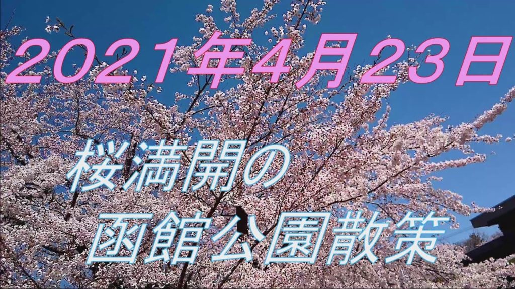 春の函館公園散策