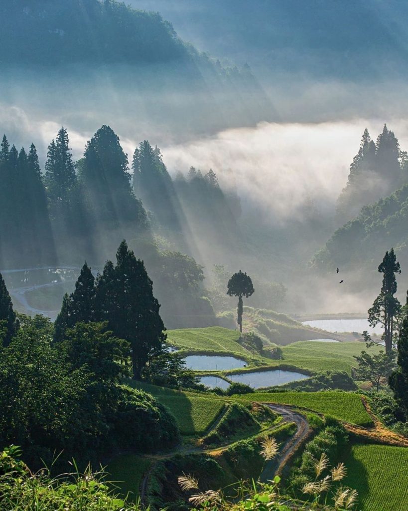 Visit Japan: Yamakoshi is a small farming village in Niigata Prefecture. Niigata is a top ric… Yamakoshi is a small farming village in Niigata Prefecture. Niigata is a top ric...