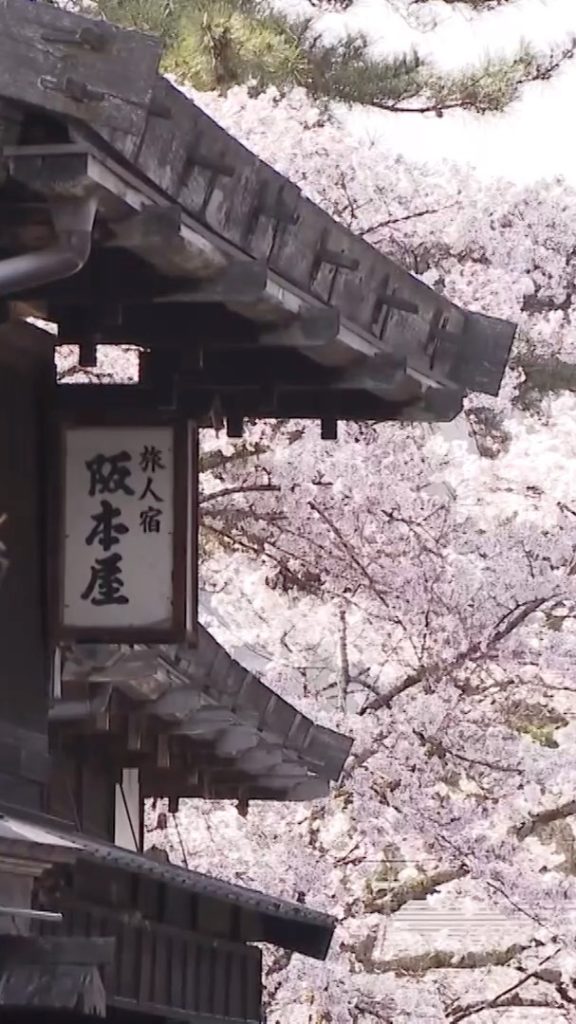 1 - 2 April, 2021  Re-live the moments from the Olympic Torch Relay in Nagano Pr...