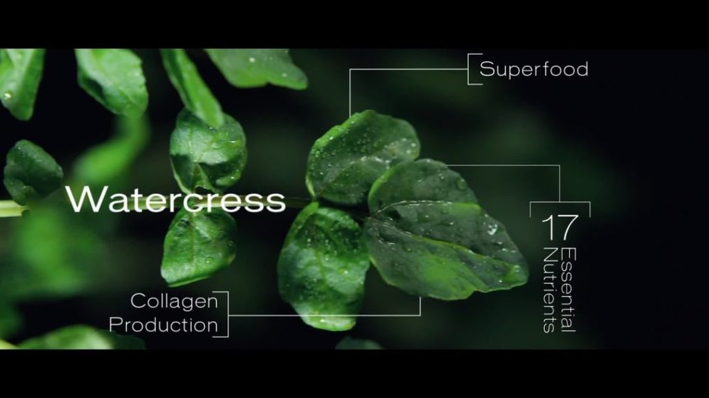 Wake up revitalized. A 1-minute massage with Vital Perfection LiftDefine Radianc...