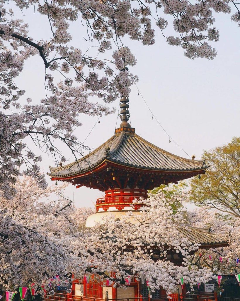 Who has visited Kawagoe? It's one of our favorite locations for wonderfully pres...