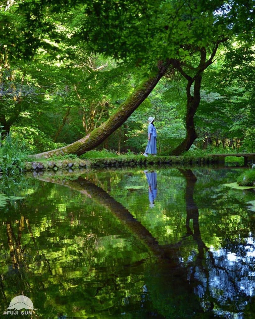 Visit Japan: Look how beautiful the water source mirrors the surrounding beauty of nature!
H… Look how beautiful the water source mirrors the surrounding beauty of nature!
H...