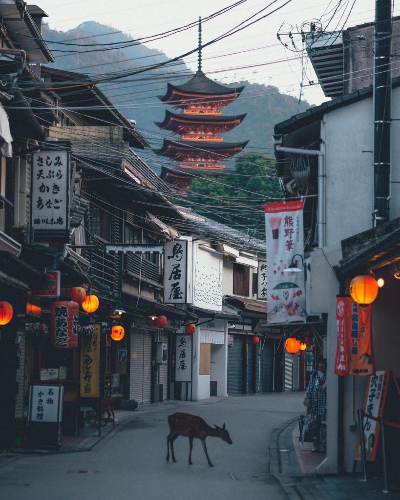 Welcome to Miyajima 
: @age_cox
-----⁣⠀
Miyajima, #Hiroshima
.⁣⠀
.⁣⠀
.⁣⠀
.⁣
#Jap...