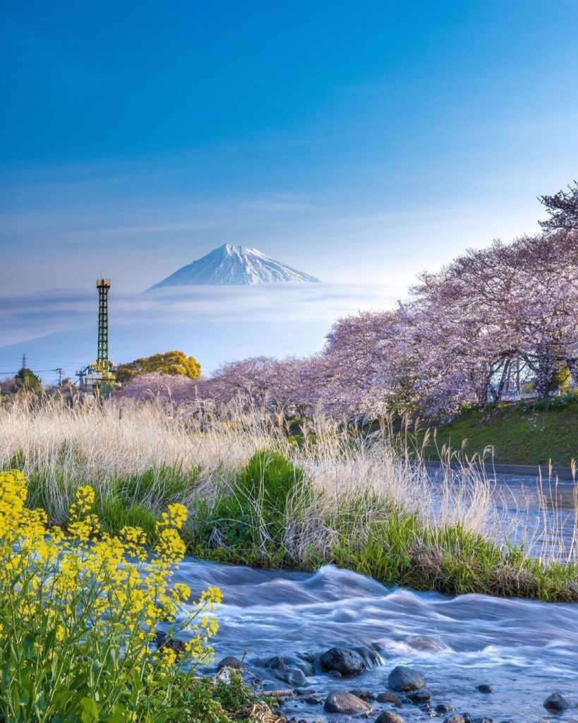 The springtime views of Mt. Fuji from Shizuoka’s Urui River are so picturesque, ...